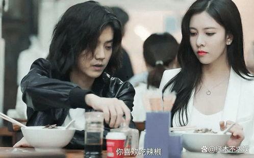 狗仔爆料细节解析视频,视频细节深度解析