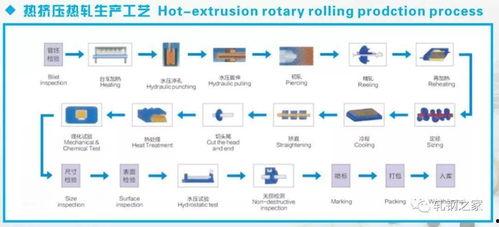 爆料空港大鲨鱼视频大全,惊险刺激的空中猎奇之旅